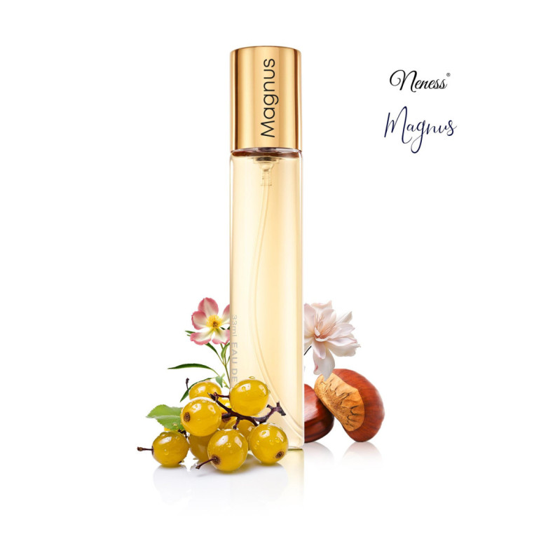 N302. Neness Magnus | Podobne nuty: Jean Paul Gaultier Scandal Pour Homme Absolu | 33 ml | Perfumetki Męskie | Francuskie Perfum