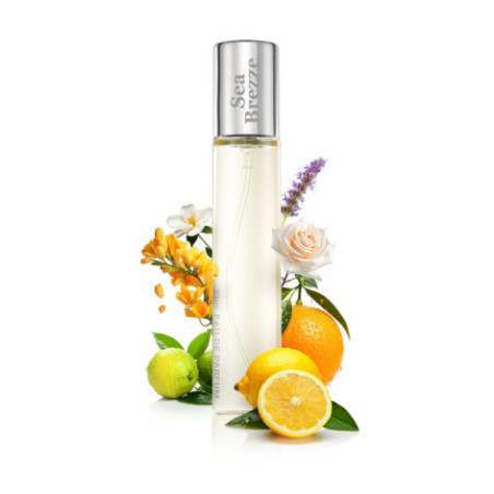 N003. Neness Sea Breeze Man | Podobne nuty: Giorgio Armani Acqua Di Gio | 33 ml | Perfumetki Męskie | Francuskie Perfumy Lane