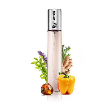 N085. Neness Excitement Man | Podobne nuty: Calvin Klein Euphoria | 33 ml | Perfumetki Męskie | Francuskie Perfumy Lane