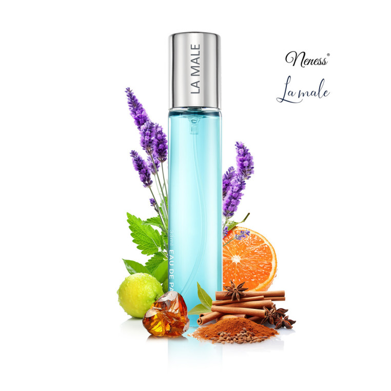 N138. Neness La Male | Podobne nuty: Jean Paul Gaultier Le Male | 33 ml | Perfumetki Męskie | Francuskie Perfumy Lane