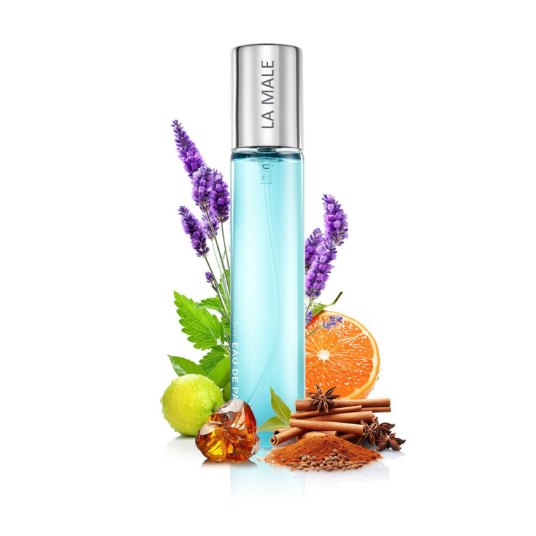 N138. Neness La Male | Podobne nuty: Jean Paul Gaultier Le Male | 33 ml | Perfumetki Męskie | Francuskie Perfumy Lane