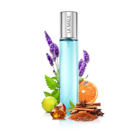 N138. Neness La Male | Podobne nuty: Jean Paul Gaultier Le Male | 33 ml | Perfumetki Męskie | Francuskie Perfumy Lane