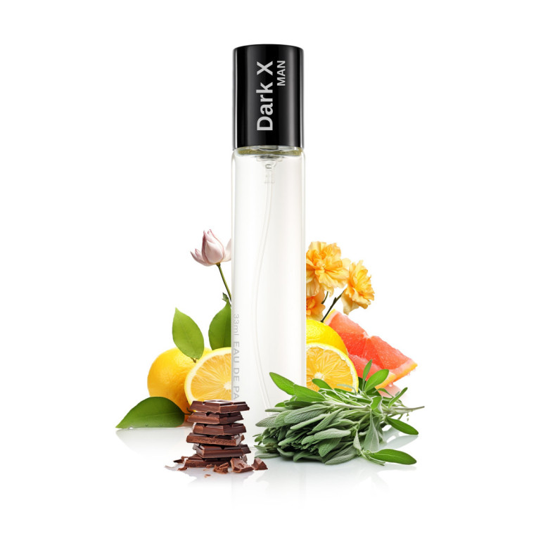 N173. Neness Black X | Podobne nuty: Paco Rabanne Black Xs | 33 ml | Perfumetki Męskie | Francuskie Perfumy Lane