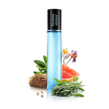 N207. Neness Sinner | Podobne nuty: Carolina Herrera Bad Boy | 33 ml | Perfumetki Męskie | Francuskie Perfumy Lane